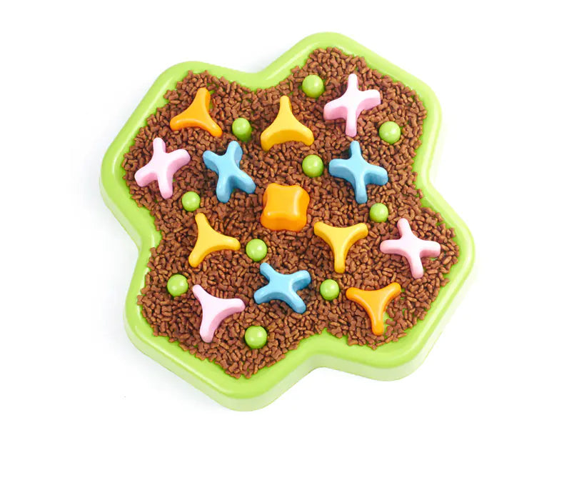 Plato de Entrenamiento para Alimentación Lenta