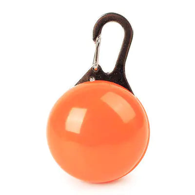 Colgante LED para Mascotas con Placa Luminosa