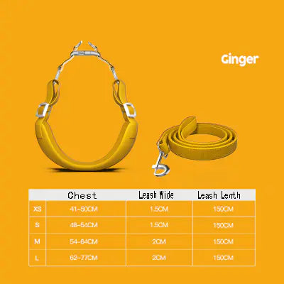 Arnés para Mascotas con Correa