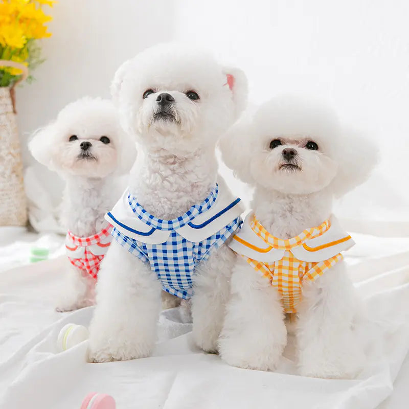 Camisas de Gato para Perros Pequeños y Medianos, Ropa para Mascotas