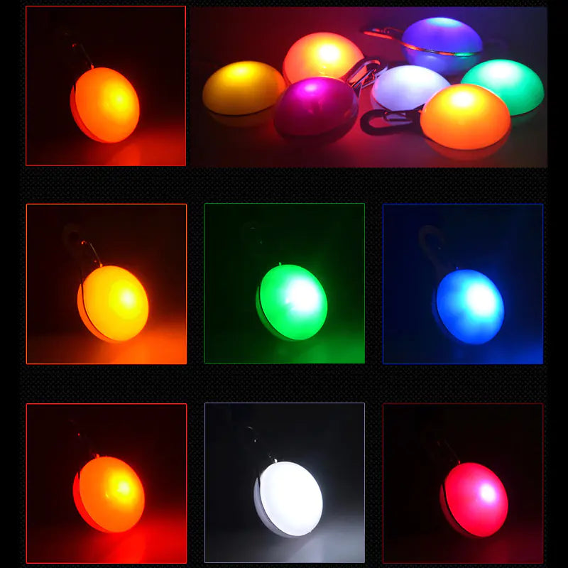Colgante LED para Mascotas con Placa Luminosa