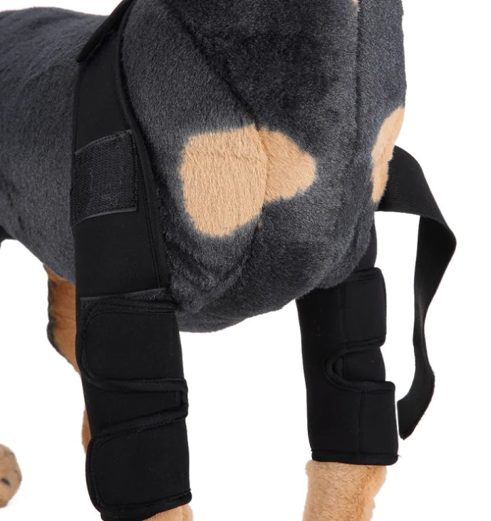 Rodillera y Protector de Pierna para Perros para la Recuperación de Lesiones