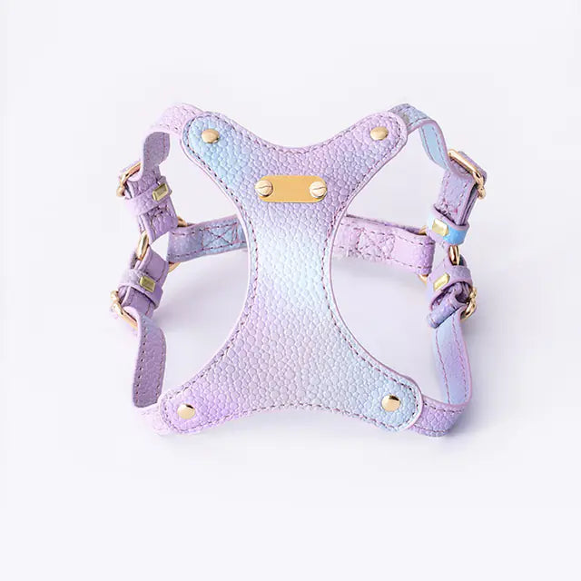 Arnés de Cuero Impermeable Ajustable para Perros Pequeños