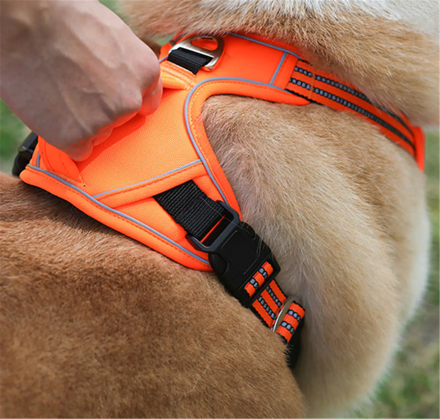 Arnés Impermeable Duradero para Mascotas con Asa Vertical