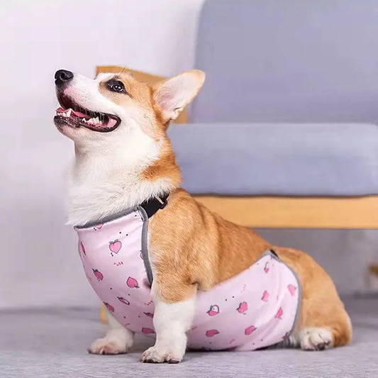 Chaleco Estampado Completo de Verano para Perros Pequeños