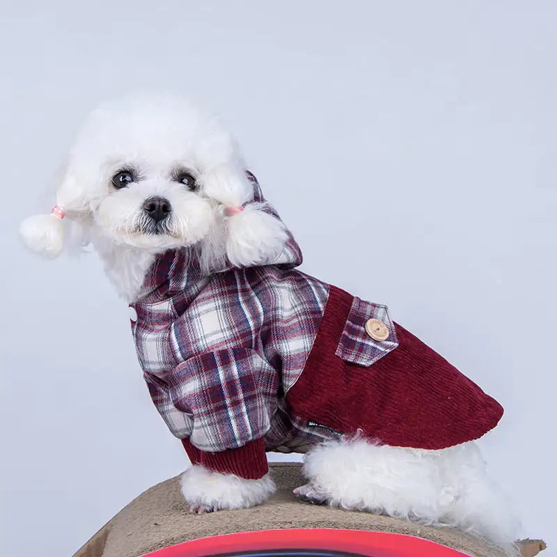 Abrigo de Cachemira para Perro Pequeño Pomerania Teddy VIP