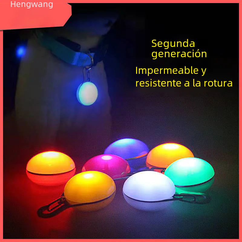 Colgante LED para Mascotas con Placa Luminosa