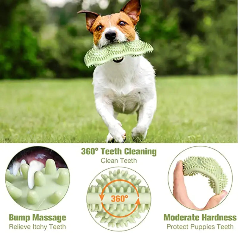 Bola de Juguete para Perros Resistente a Mordidas para Masticación Interactiva