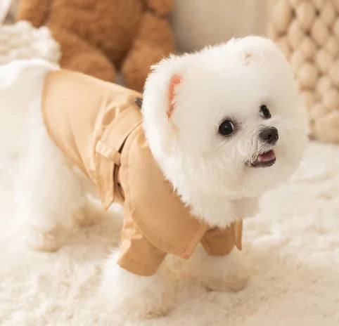 Gabardina Británica para Perros - Ropa de Verano para Mascotas