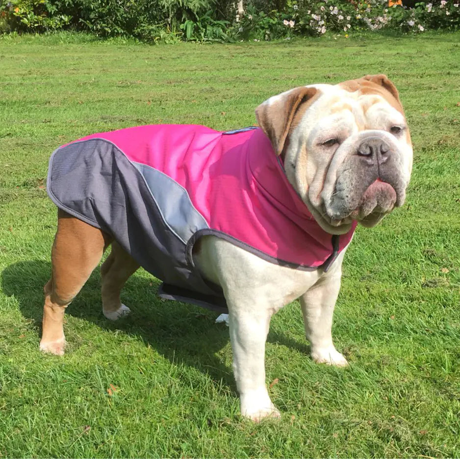 Impermeable Exterior para Mascotas y Chaqueta Aislante