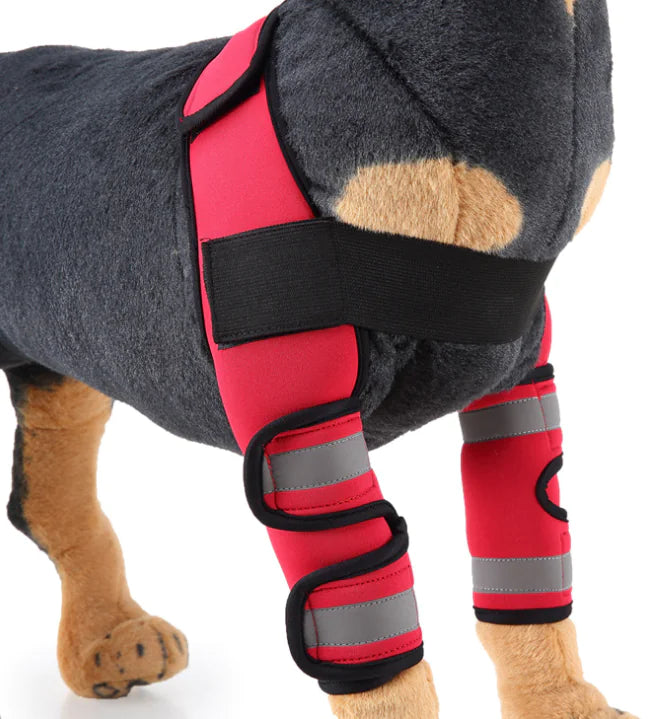 Rodillera y Protector de Pierna para Perros para la Recuperación de Lesiones