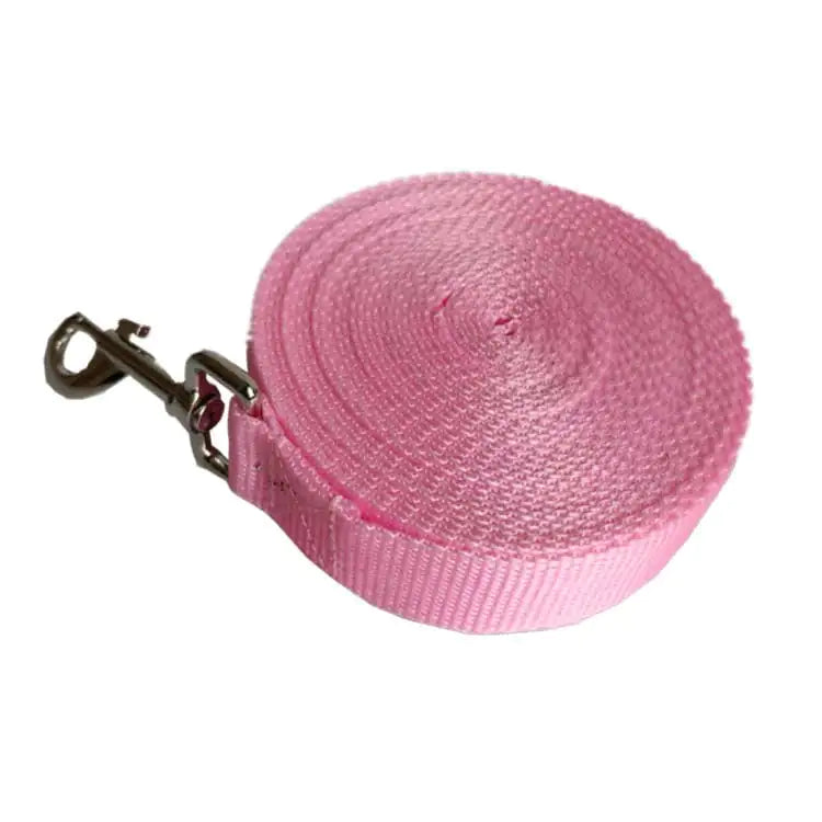 Correa para Perro Larga y Ancha de 2.5CM