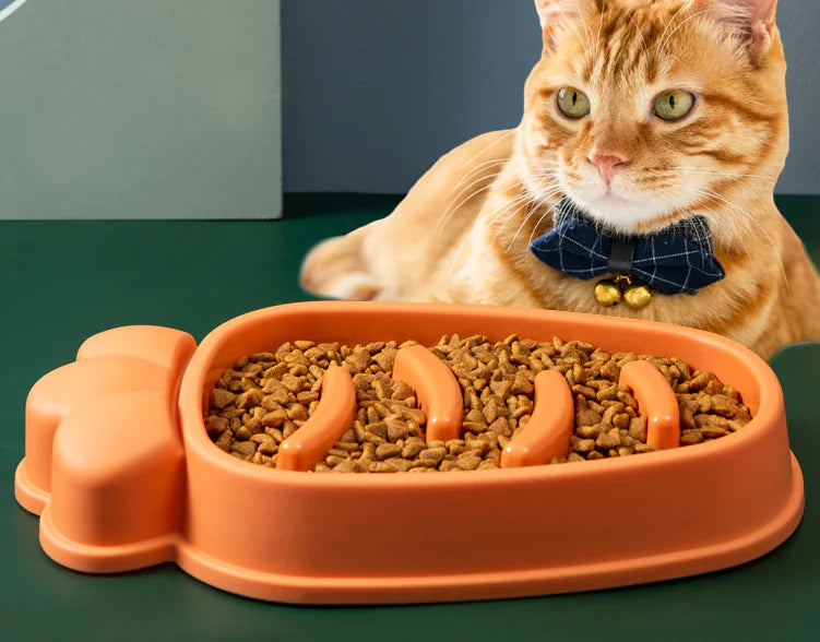 Plato para Perros de Alimentación Lenta para Perros Grandes - Diseño Antiahogo