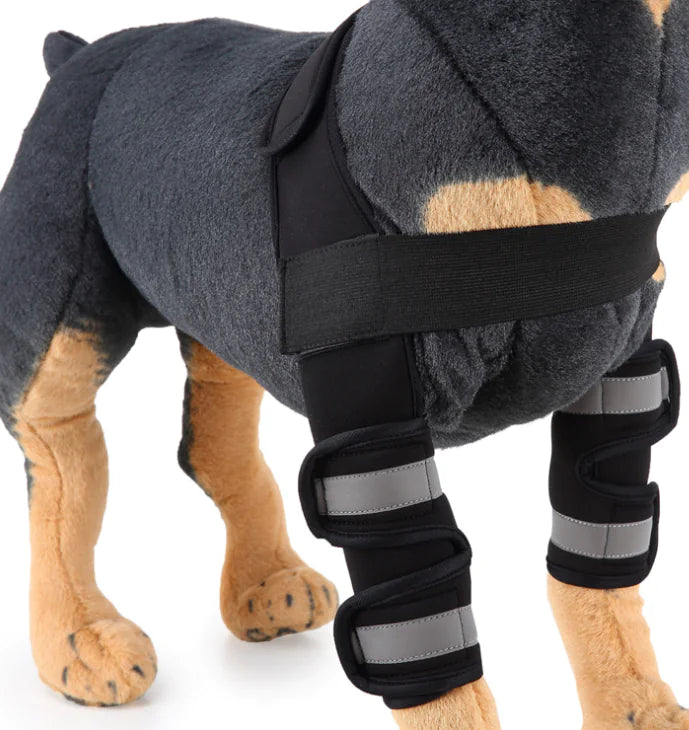 Rodillera y Protector de Pierna para Perros para la Recuperación de Lesiones
