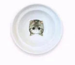Soporte Protector de Espalda para Comedero y Bebedero de Gatos