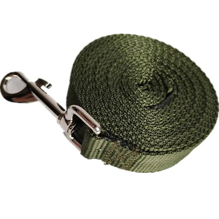 Correa para Perro Larga y Ancha de 2.5CM