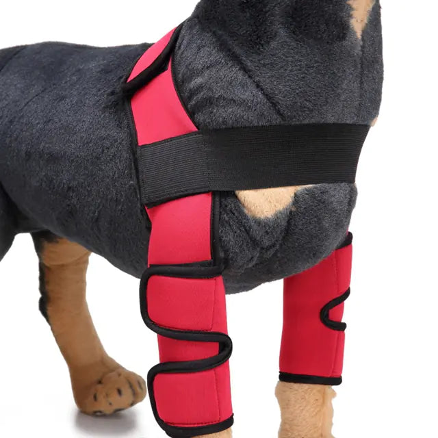 Rodillera y Protector de Pierna para Perros para la Recuperación de Lesiones