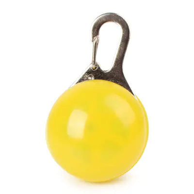 Colgante LED para Mascotas con Placa Luminosa
