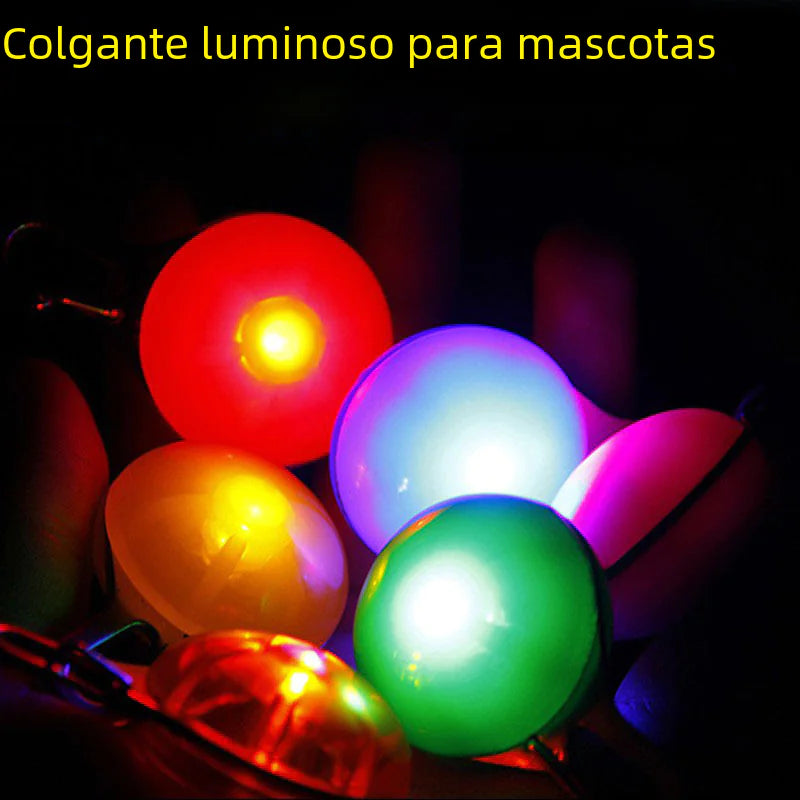 Colgante LED para Mascotas con Placa Luminosa