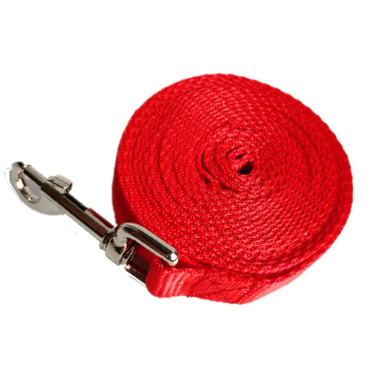 Correa para Perro Larga y Ancha de 2.5CM